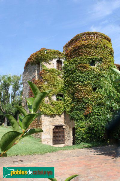 Jardín y terraza